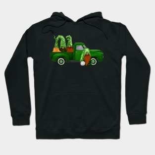 St Patrcks day gnomes Hoodie